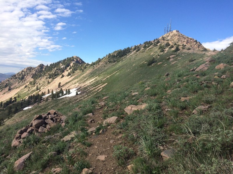 Looking up to the summit of Mt Ogden from the Beus Canyon Trail.