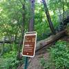 A long staircase leads up to the overlook for Willow Falls.