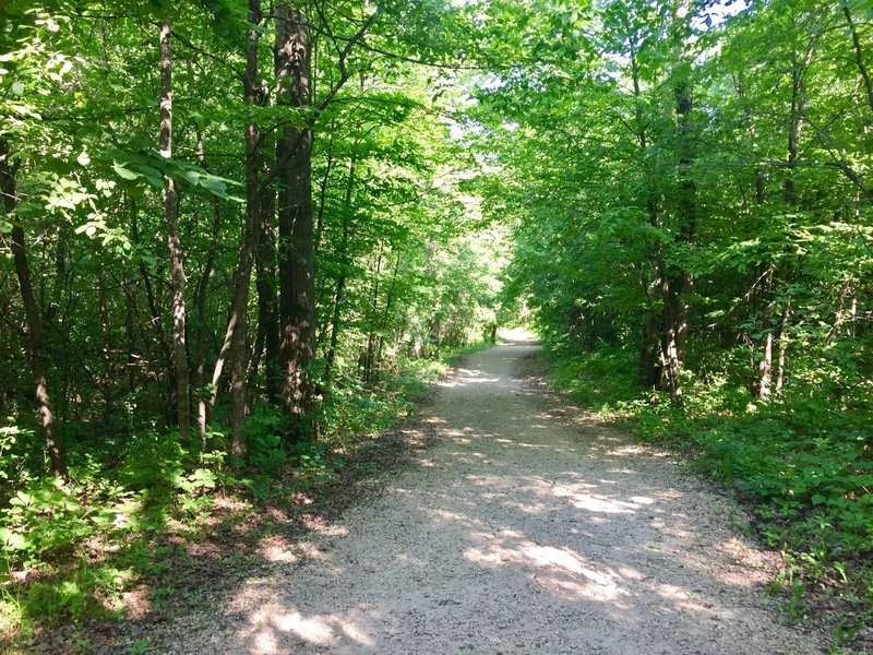 Dappled shade covers the Burkhardt Trail.