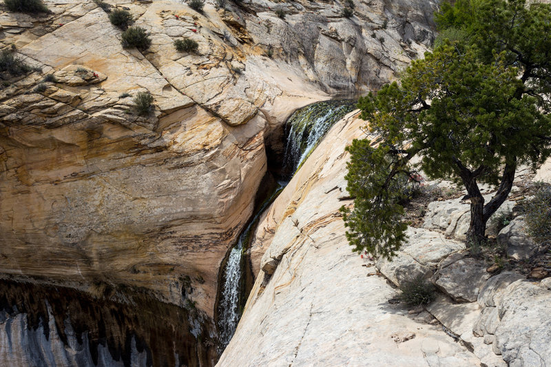 Upper Calf Creek Falls just above the alcove.