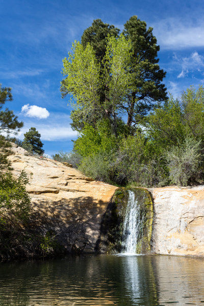 One of the small pools just above the waterfall.