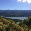 Looking down at the Lexington Reservoir from the Priest Rock Trail.