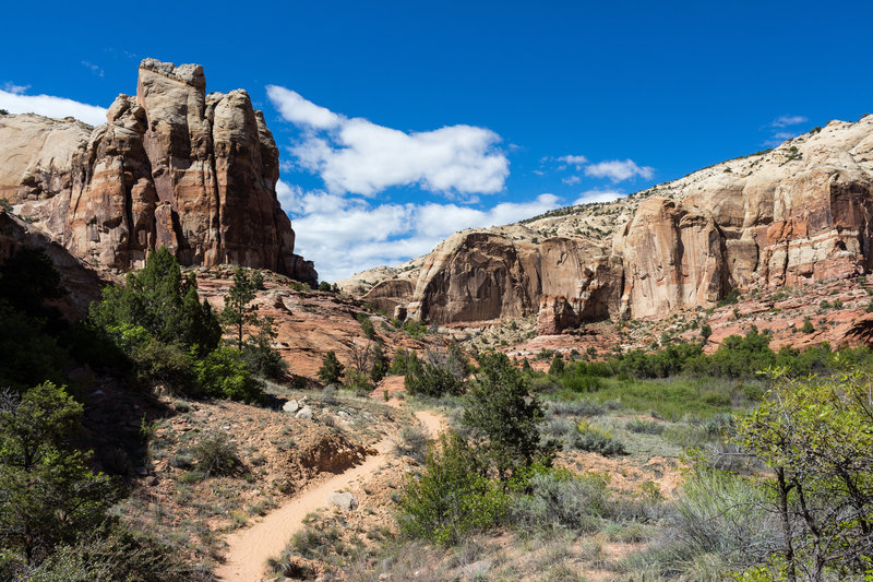 Small side canyons line the way.