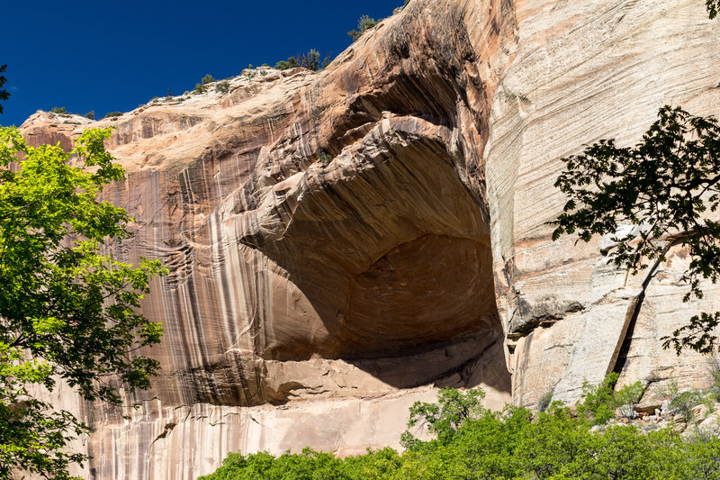 An impressive hole in the canyon wall with a massive overhanging ledge along the Lower Calf Creek Falls Trail.