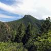 View of Mt. Cutler looking South from Mid-Columbine Trail.