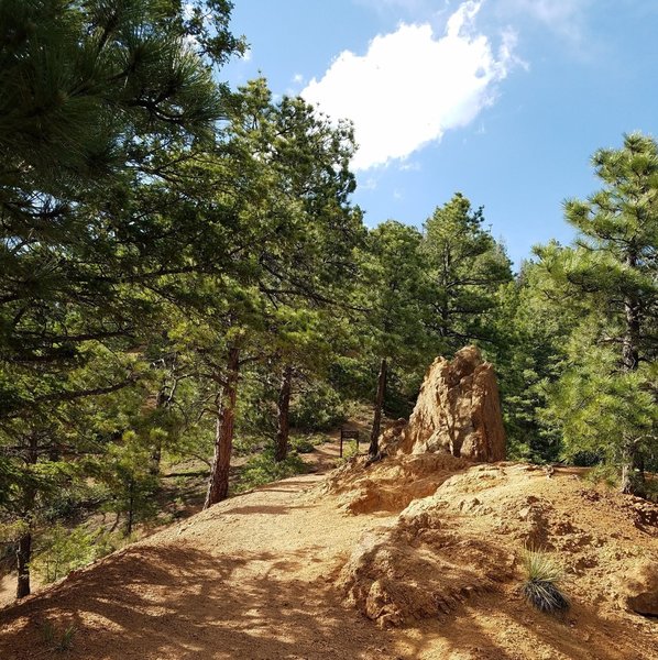 Trailhead of Mid-Columbine and Upper Columbine. The spur trail leads to Gold Camp Road.