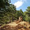 Trailhead of Mid-Columbine and Upper Columbine. The spur trail leads to Gold Camp Road.