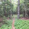 Follow the red blazes through some nice singletrack stretches.