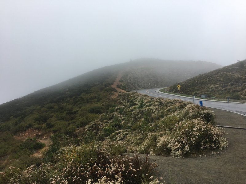 View looking up at the summit. The steep trail up away from the road has some lose rocks and can be tricky coming down.