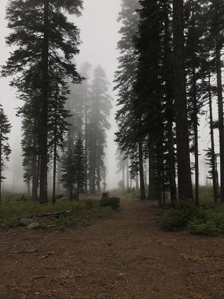 Mill Creek Trailhead hides in the early morning fog.