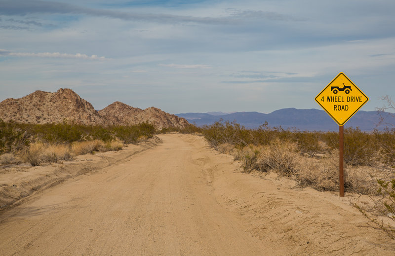 From the intersection of the Pinto Basin Road, Black Eagle Mine Road, and Old Dale Road.