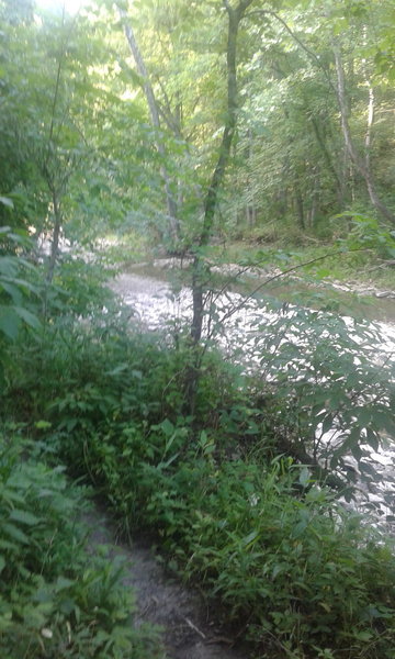 #1 Connector Trail follows along the water for a portion.