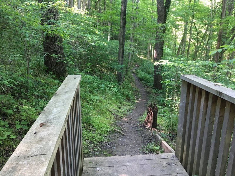 A sturdy bridge aids your passage along the trail.