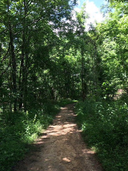 Following the smooth trail to Hidden Lake.