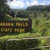 A barely visible Akaka falls from the parking lot.