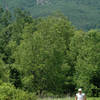 The finish area is complete with Greylock in the background.