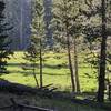 Round Valley Meadow with a resident deer enjoy the sunlight.