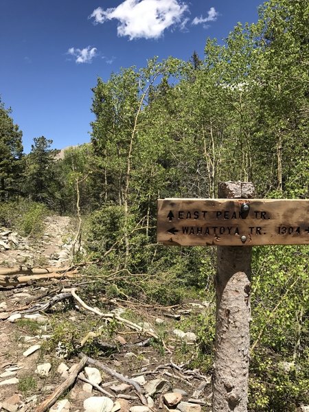 Watch out for this trail junction with the East Peak Trail.