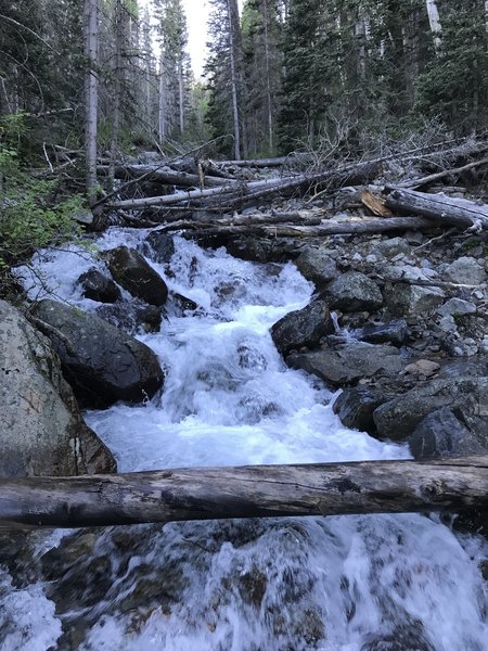 Ice-cold, snow-fed streams tumble down the mountainside.