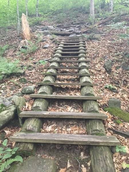 Your adventure starts on these steps.