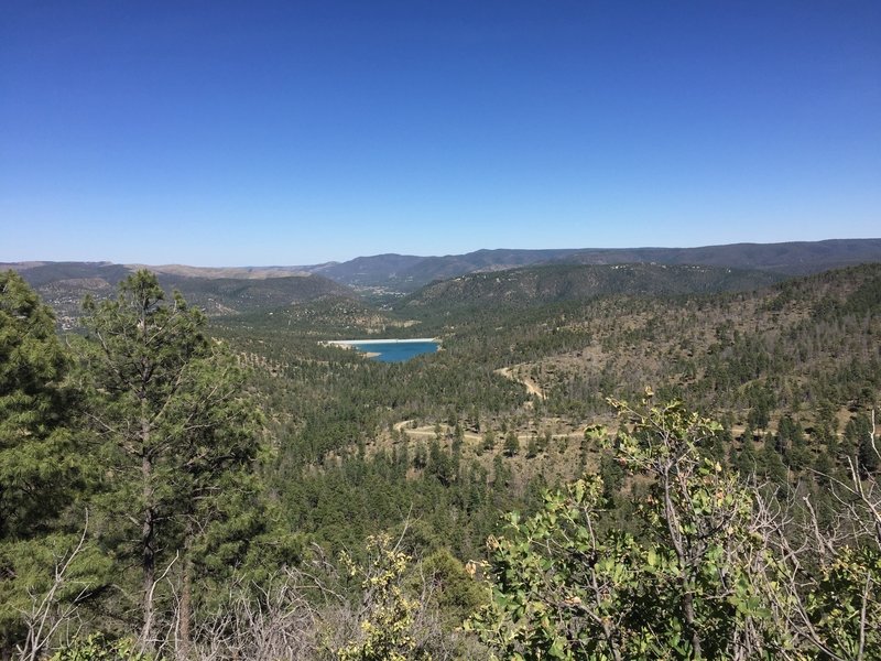 The forest outside of Ruidoso is quite beautiful when seen from the Alfred Hale Connector.