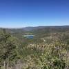 The forest outside of Ruidoso is quite beautiful when seen from the Alfred Hale Connector.