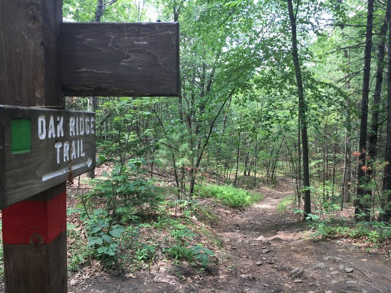 This sign marks the beginning of Oak Ridge Trail at the intersection ...