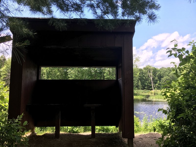 A wildlife blind aids your chances of a sighting at Beaver Pond.