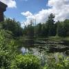 Beaver Pond is still beautiful from outside the wildlife blind.