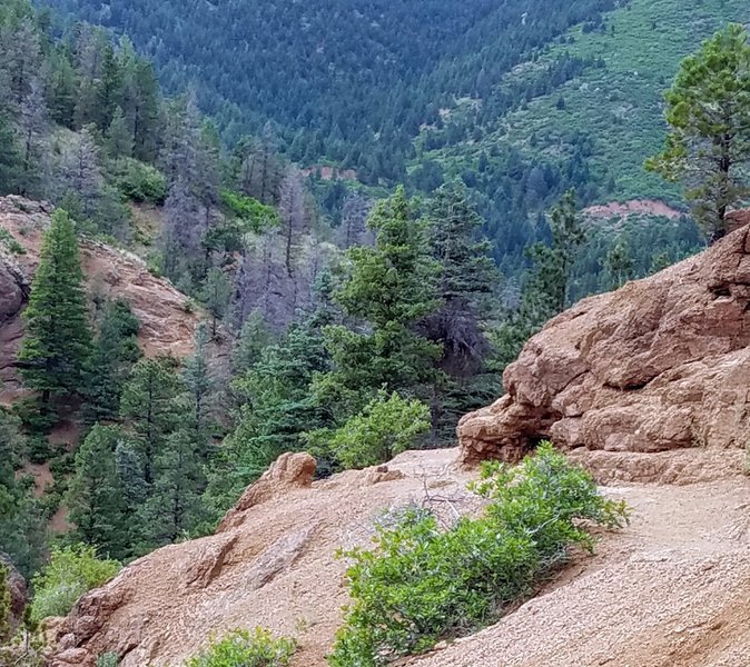 The Mt. Cutler Trail offers great views looking northwest into the canyon.