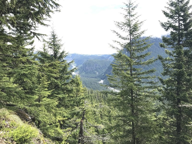 Just as you crest the ridge, a well-marked viewpoint provides beautiful views of the Nisqually River.