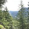 Just as you crest the ridge, a well-marked viewpoint provides beautiful views of the Nisqually River.