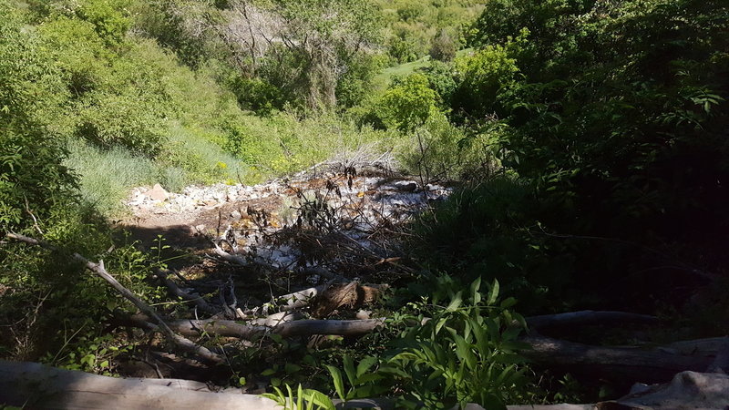 The Wind Caves Trail is nice in late spring.