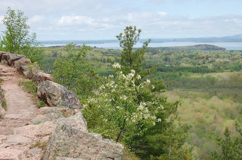 Schiff Path has beautiful views from its pleasant tread. I never knew how much I could love rocks!