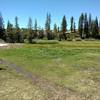 A small wetland meadow starts the Salmon Lake Trail.