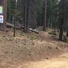 This is the southern "trailhead" for this trail. Picture is looking northeast from the General Creek Fire Road.