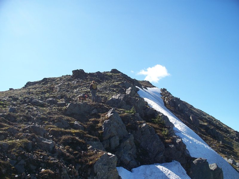 The Skyline Trail is beautiful in its craggy austerity.