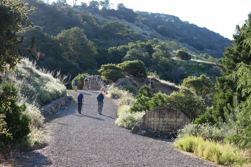 Early morning hikers make their way to the start of the Volcan Mountain Wilderness Preserve.