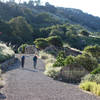 Early morning hikers make their way to the start of the Volcan Mountain Wilderness Preserve.