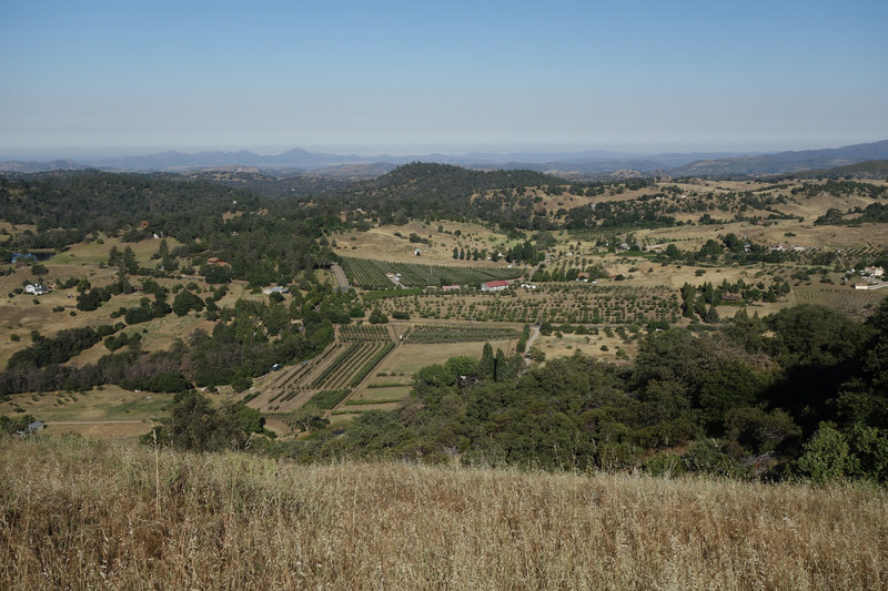 Volcan Valley Apple Farm and the Menghini Winery can be seen from the Five Oaks Trail.