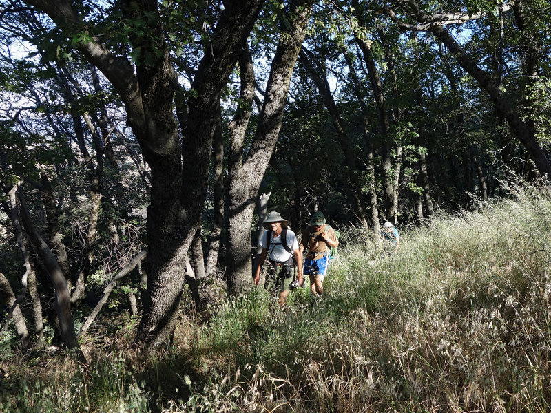 Two hikers make their way along the Five Oaks Trail.