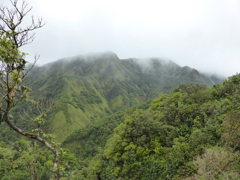 A great view awaits near the top of Morne Nichols.