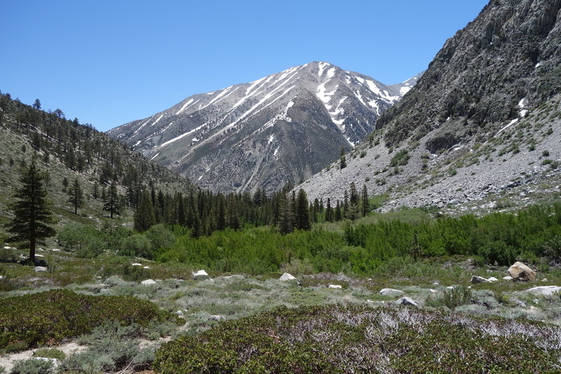 Kid Mountain (~11,860 ft) is beautiful when viewed from near the Baker Creek Trail junction.