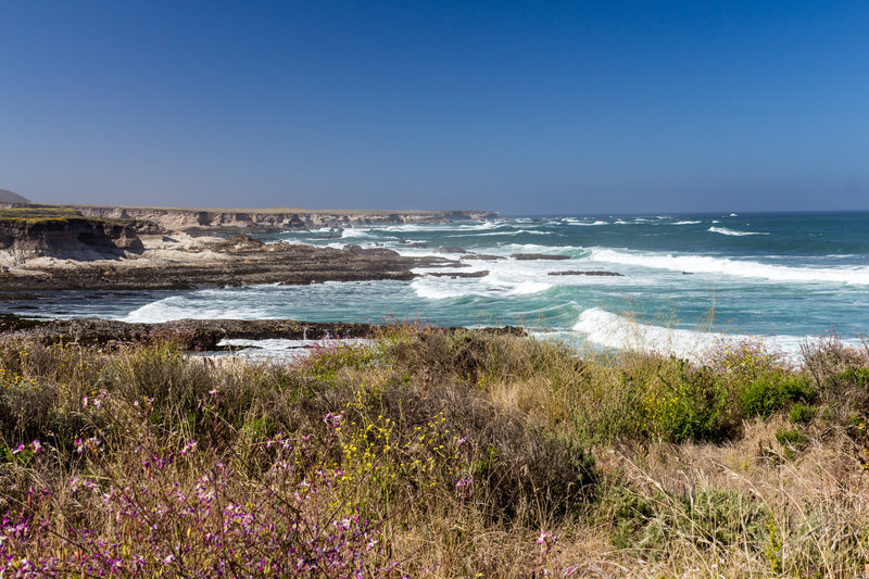 Look south over the cliffs to glean a great view from the Bluff Trail.