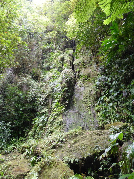 Check out this nearly vertical volcanic escarpment along the trail.