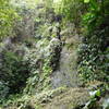 Check out this nearly vertical volcanic escarpment along the trail.