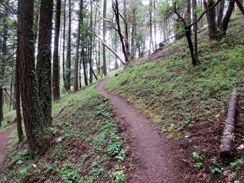 Snark trail as it climbs to Bandersnatch (Robert Nicholson photo)