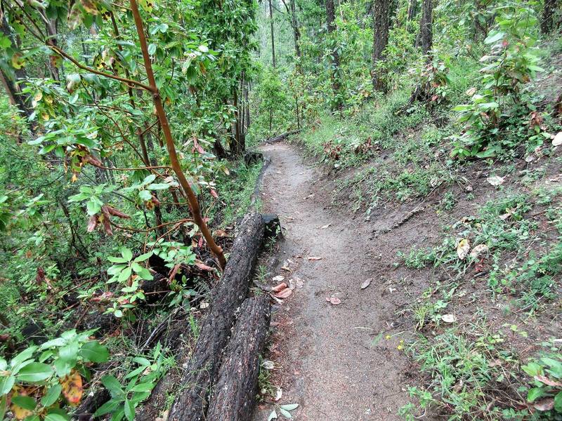 Lower Red Queen Trail is so close to residences, yet it feels far away.