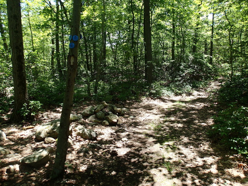 At the end of the Osborn Loop Trail you can jump right back on the Appalachian Trail.