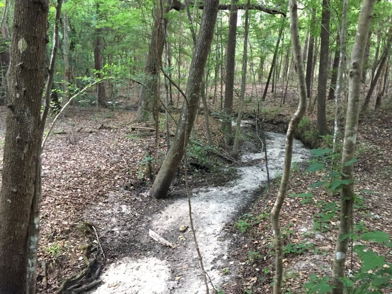 The trail follows by this dry creek bed.